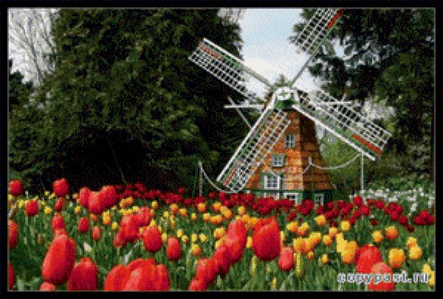 №449678 - цветы - предпросмотр