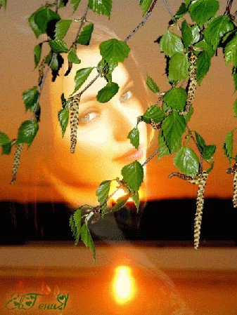 №449686 - девушки - оригинал