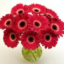 Схема вышивки «№449697»