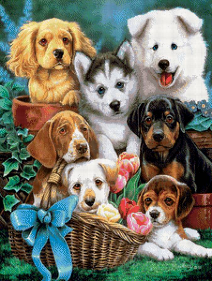 №449722 - предпросмотр