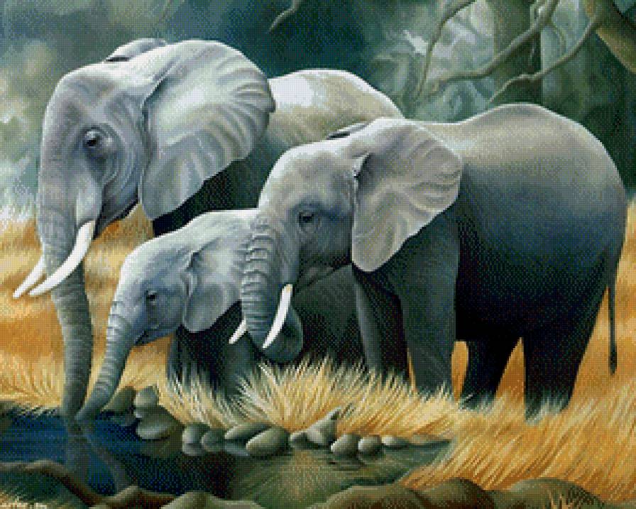 Семья - слон, дикая природа - предпросмотр