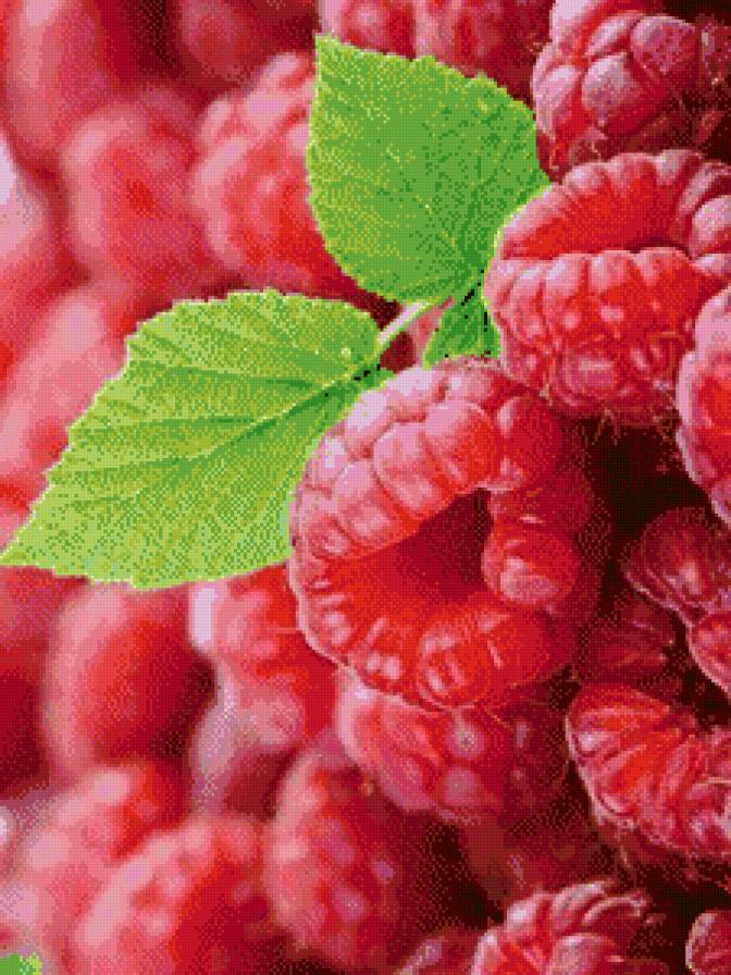 №449828 - ягоды - предпросмотр