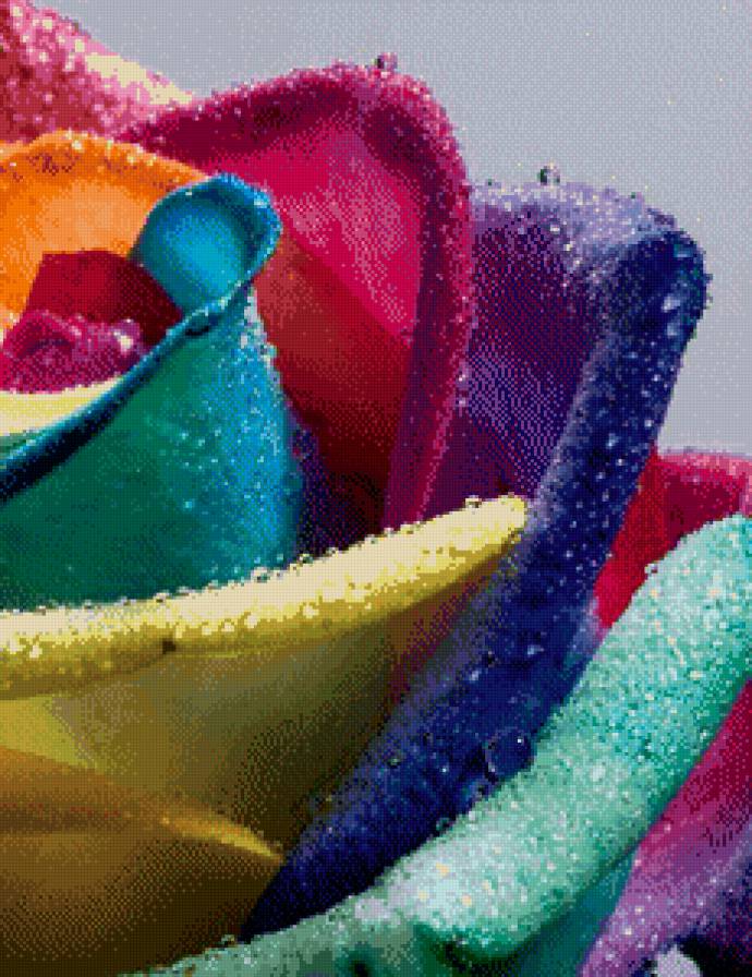 Краски - роза, цветок - предпросмотр