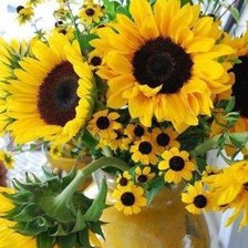 Оранжевое настроение