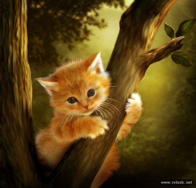 На дереве - кот, природа - оригинал