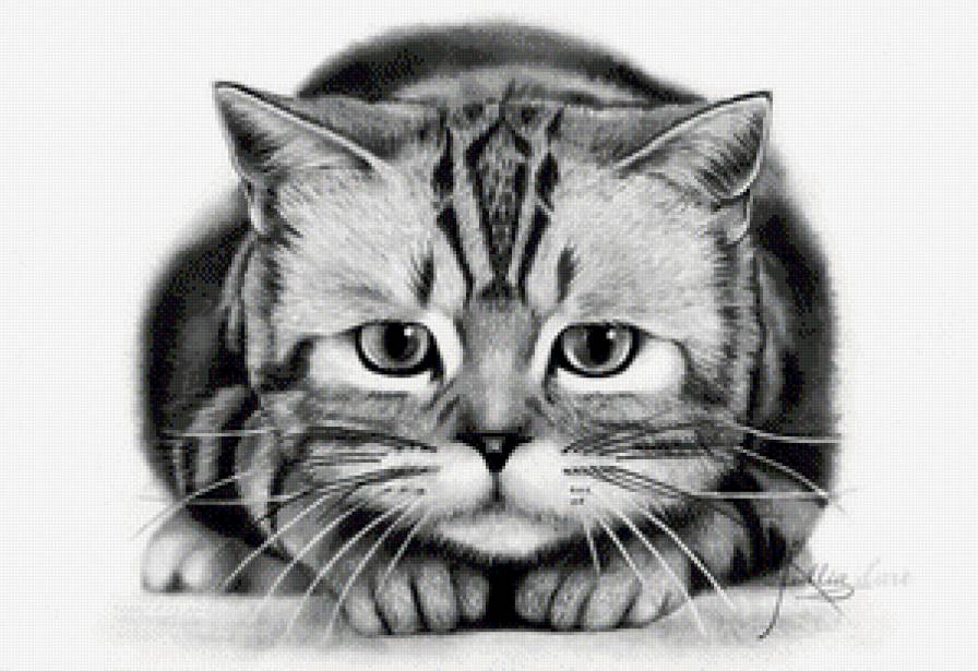 Не грусти! - кот, кошка - предпросмотр