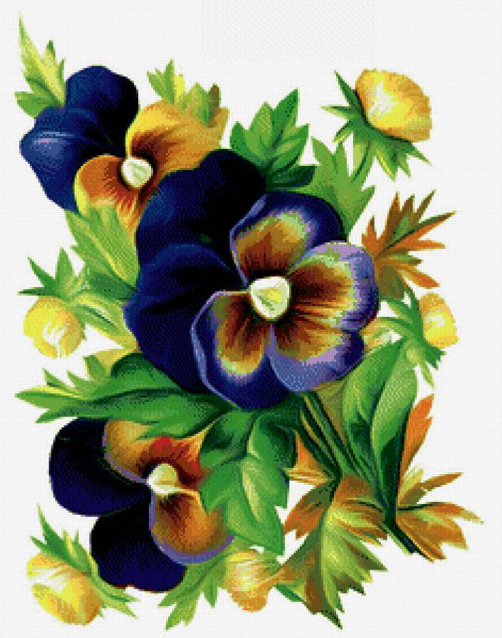 анютины глазки - фиалки, цветы - предпросмотр