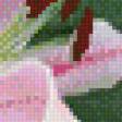Предпросмотр схемы вышивки «лилии» (№450101)