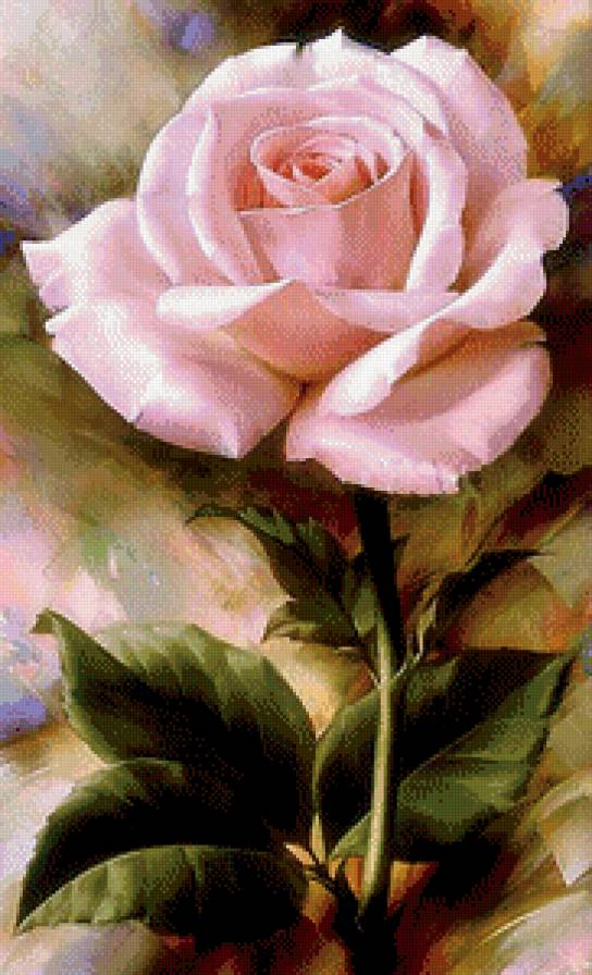 Роза - цветы - предпросмотр