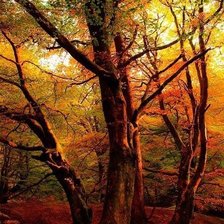 Оригинал схемы вышивки «Осенний лес» (№450396)