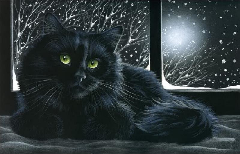 Кошка - кошка - оригинал