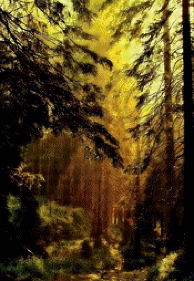 В глуши - лес, чаща леса, солнечный луч - предпросмотр