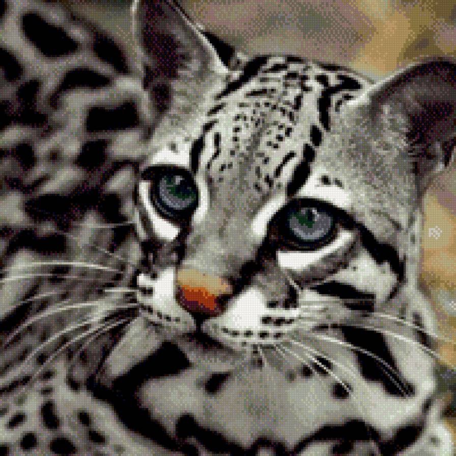 дикая кошка - кошки - предпросмотр