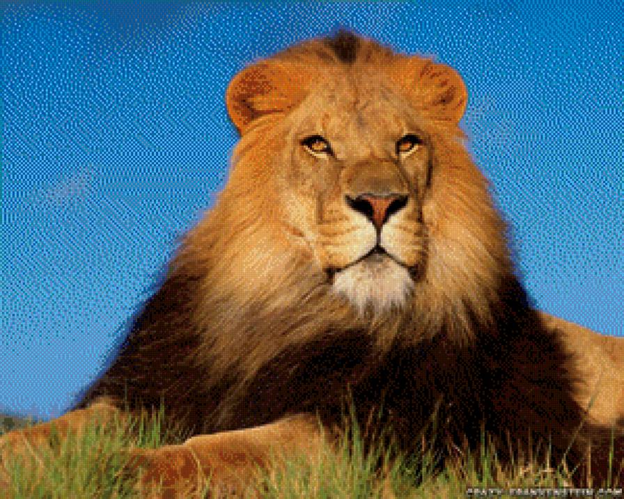 №450593 - предпросмотр