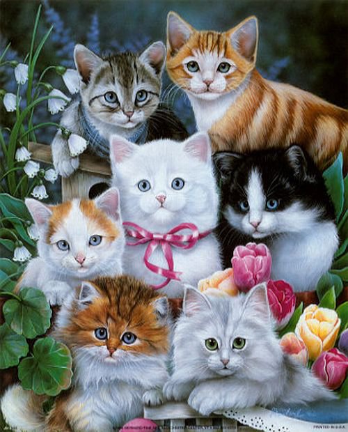 Серия "Кошки" - животные, цветы, кошки - оригинал