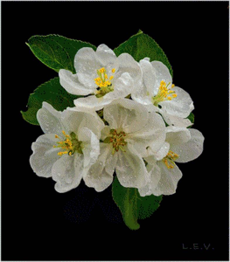 яблоня - подушка весна - предпросмотр