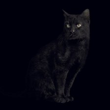 Оригинал схемы вышивки «кошка черная» (№450927)