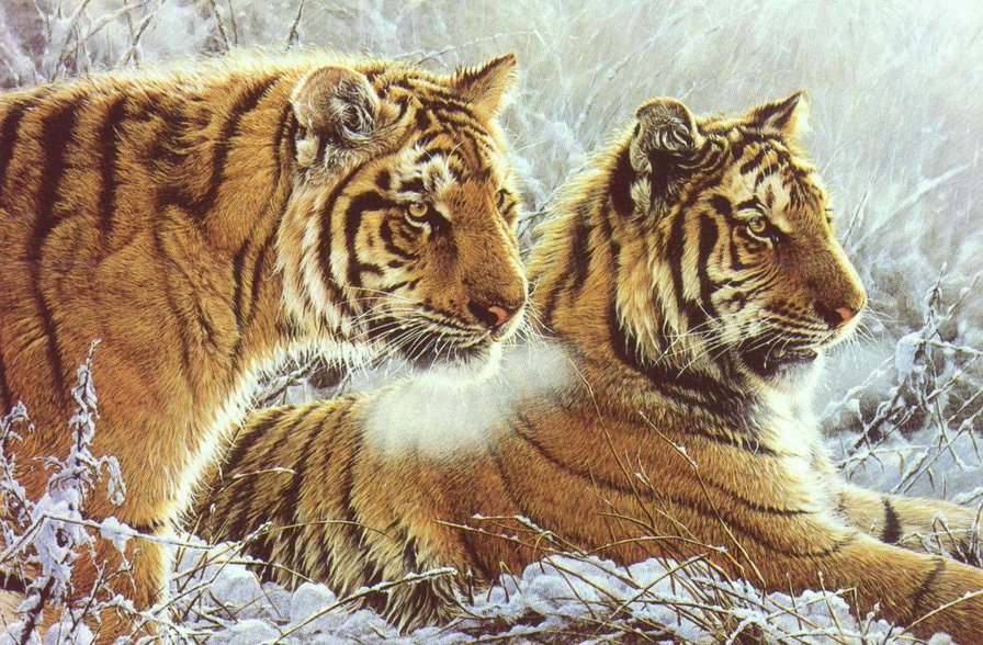 №450928 - оригинал