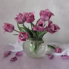 Схема вышивки «букет тюльпанов»