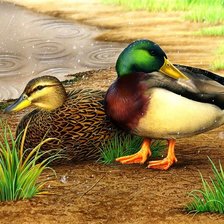 Схема вышивки «№451016»