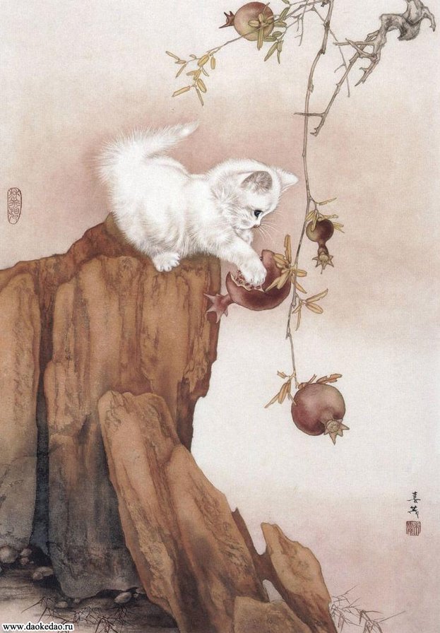 кошки - кошка - оригинал