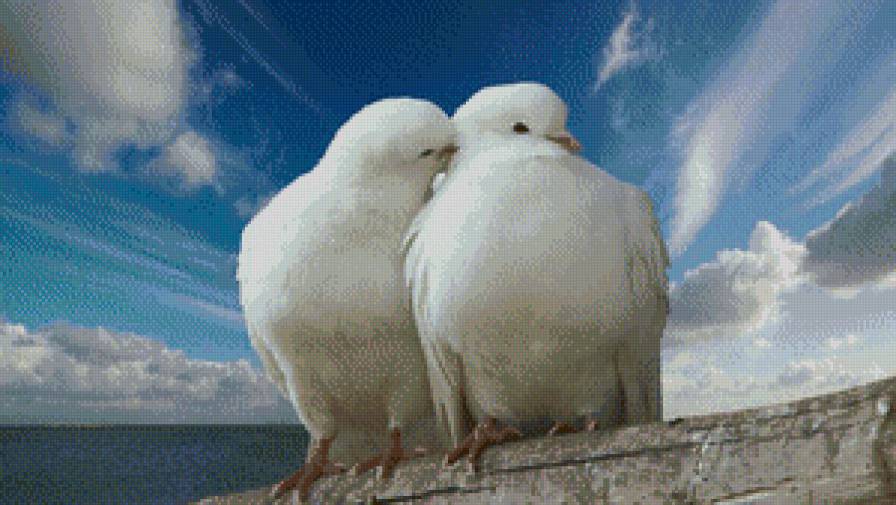 Голубки - предпросмотр