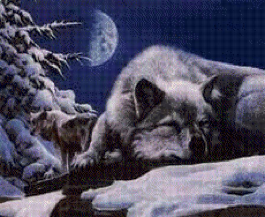 волк на отдыхе - волк, луна, дикие животные - предпросмотр