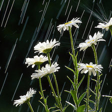 Схема вышивки «дождь»