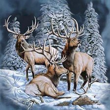 Схема вышивки «№451283»