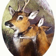 Схема вышивки «№451286»