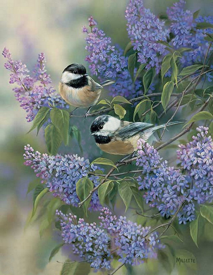 Синички - оригинал