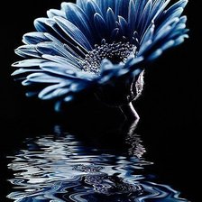 Схема вышивки «цветок»