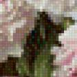 Предпросмотр схемы вышивки «Пионы» (№451462)