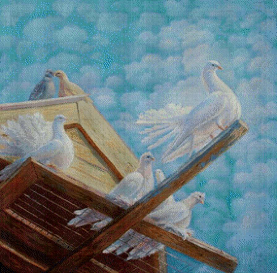 Belie golubi - предпросмотр