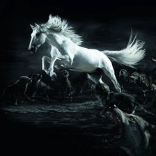 белая лошадь и волки
