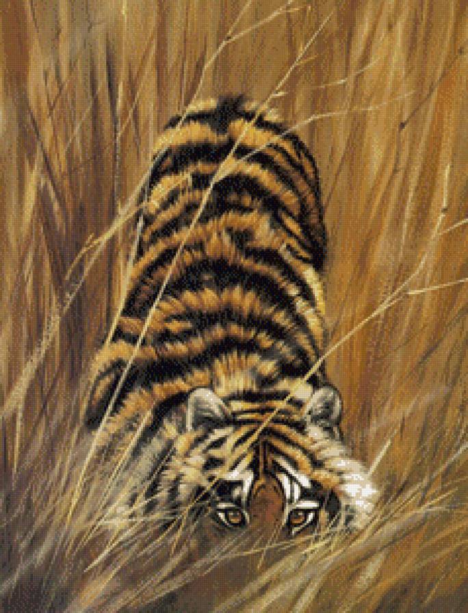 прятки - взгляд, живопись, тигр, хищник - предпросмотр