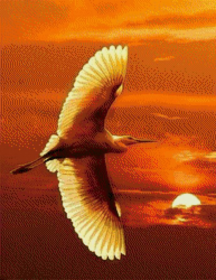 Цапля в закате - закат полет птицы цапля - предпросмотр