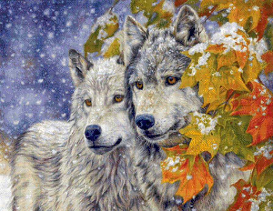 первый снег - хищник, осень, листья, волк, взгляд, пара - предпросмотр