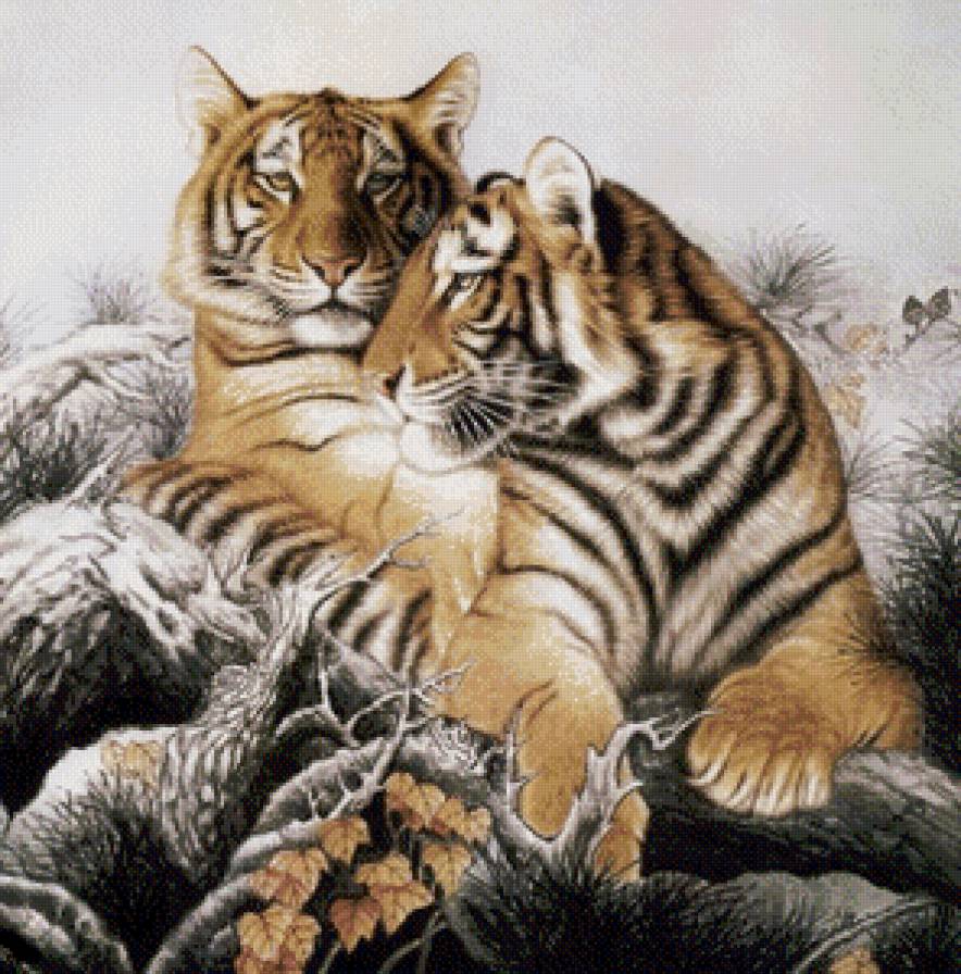короли джунглей - тигр, хищник, пара, живопись, восток - предпросмотр