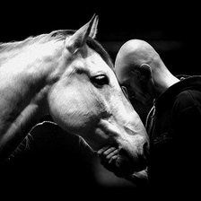 Схема вышивки «Конь ч/б»