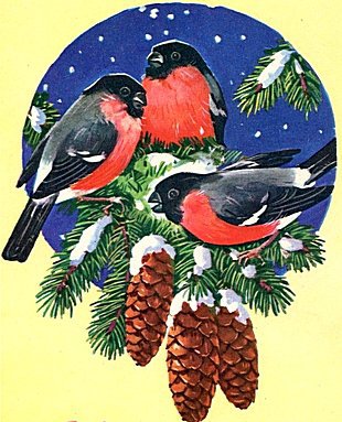 Снегири - снегири, птички, елка, шишки - оригинал