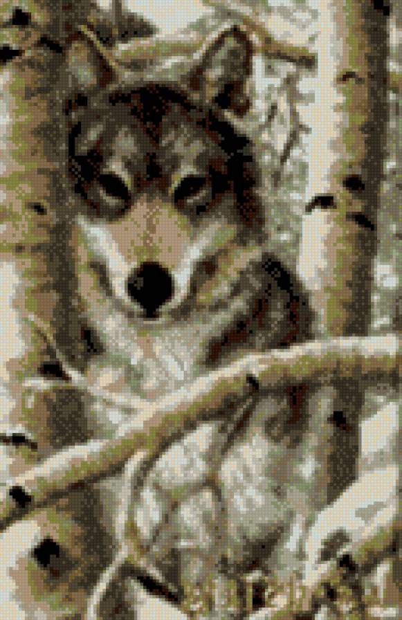 Волк - предпросмотр