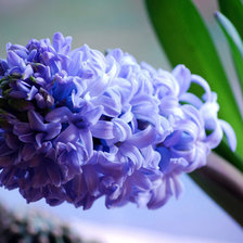 Схема вышивки «ветка сирени»