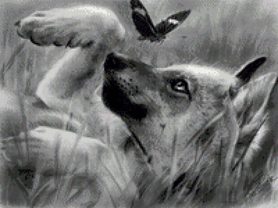 волченок - предпросмотр