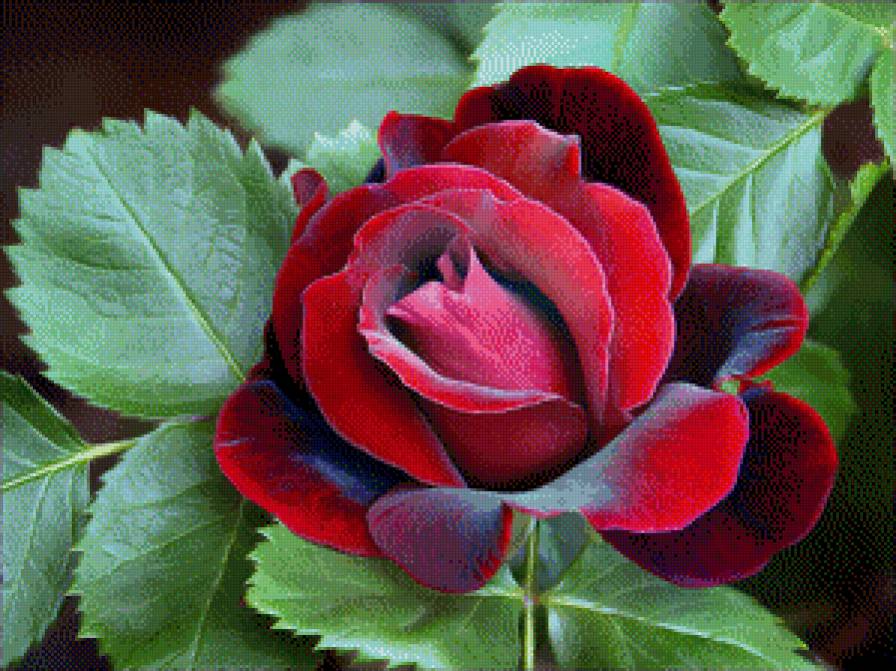 №453211 - предпросмотр