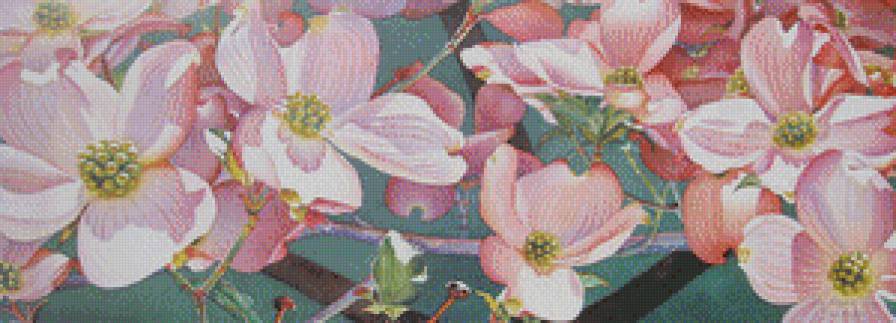 №453249 - букет, цветы - предпросмотр