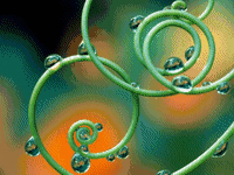 Капельки росы - растения, природа, дождь - предпросмотр