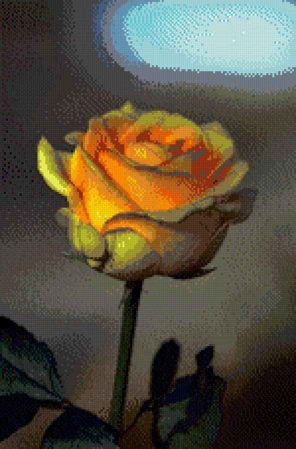 Чайная роза - предпросмотр