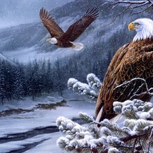 Схема вышивки «орлиная семейка»