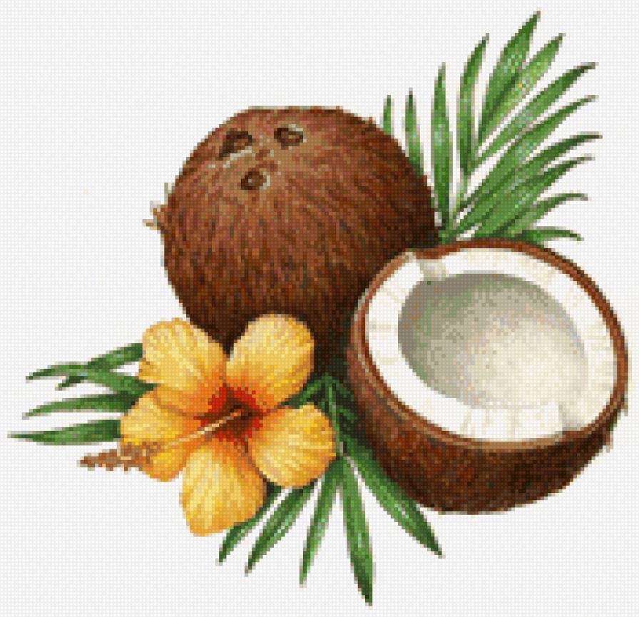 Кокосы и гибискусы - кокосы, фрукты, панно, цветы, гибискус, лето, кокос - предпросмотр